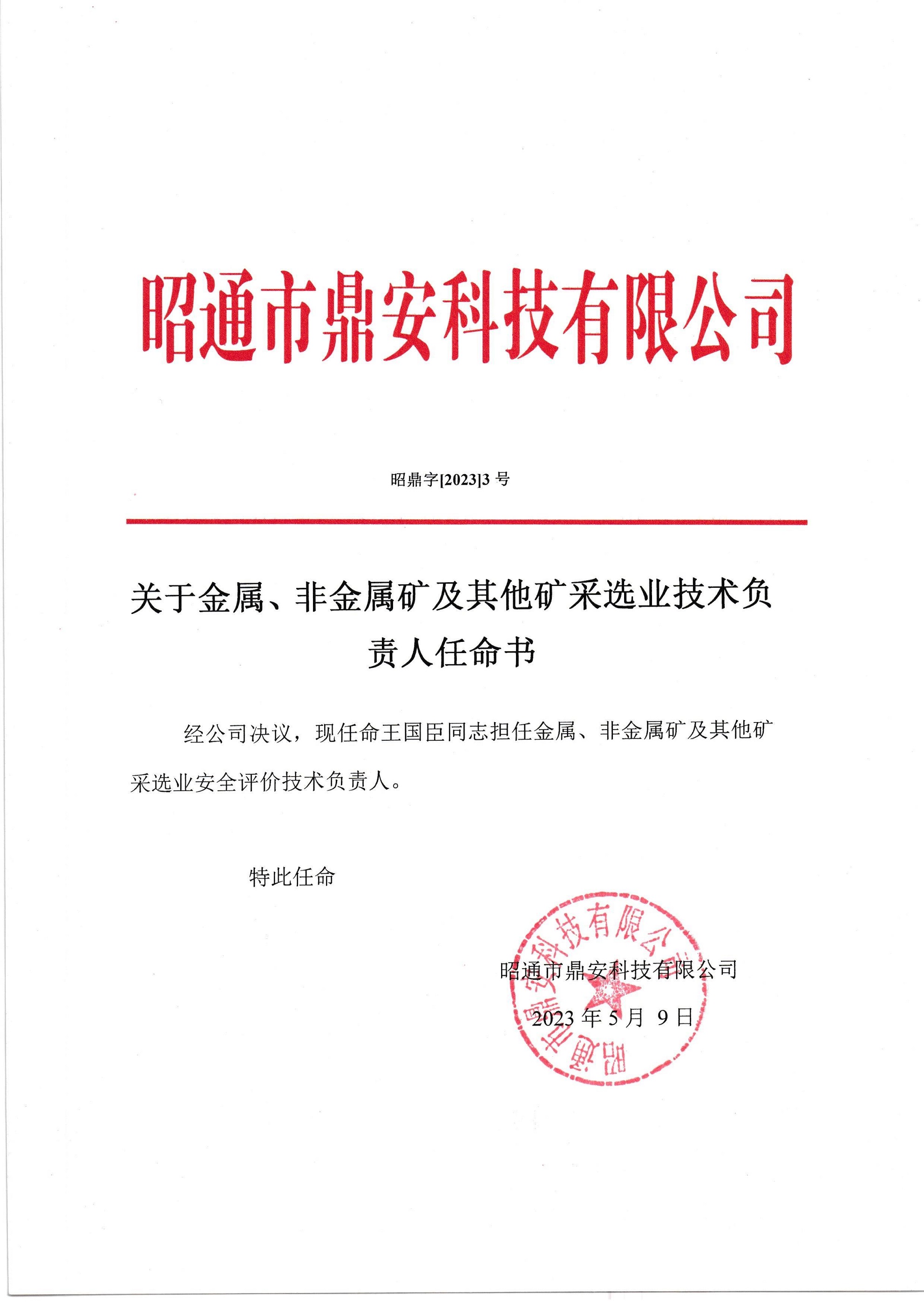 關(guān)于金屬、非金屬礦及其他礦采選業(yè)技術(shù)負(fù)責(zé)人任命書-王國(guó)臣_2.jpg